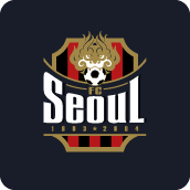 FC Seoul - Football Team