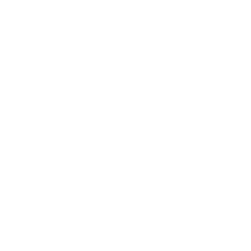 Olympique de Marseille